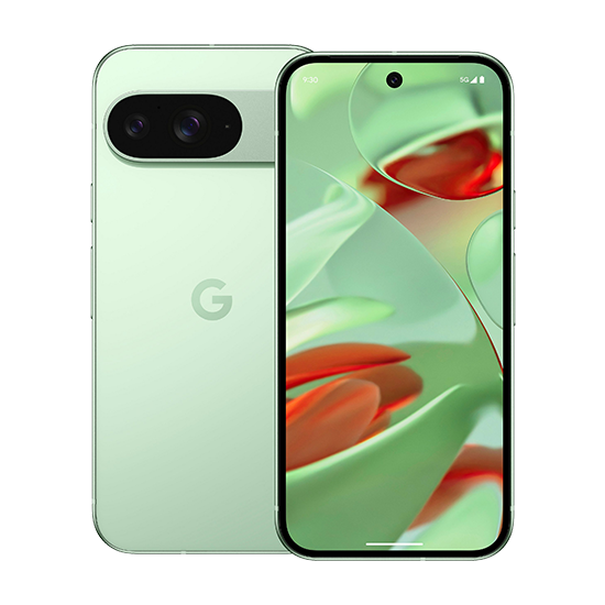 Google Pixel 9 5G 128GB (12GB Ram) Single-Sim +eSim Wintergreen EU